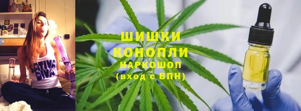 шишки Богородск